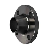 Round MS Weld Neck Flange